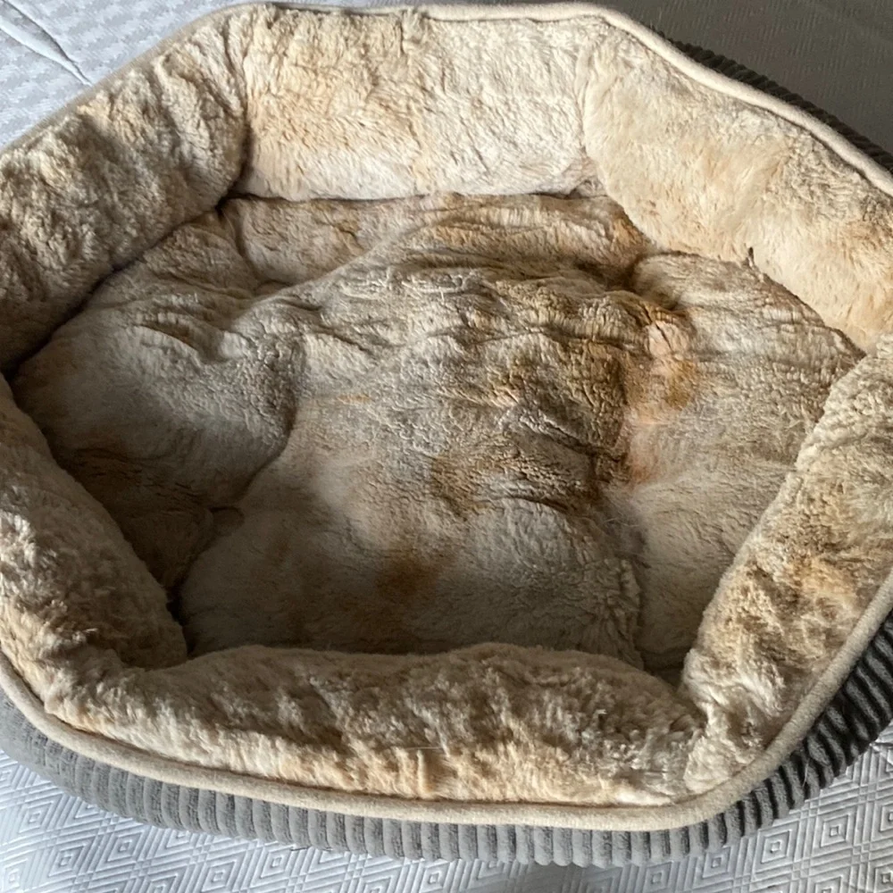 Cozy Pet Bed